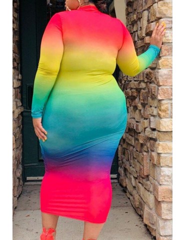 Lovely Casual Half A Turtleneck Multicolor Mid Calf Plus Size Dress